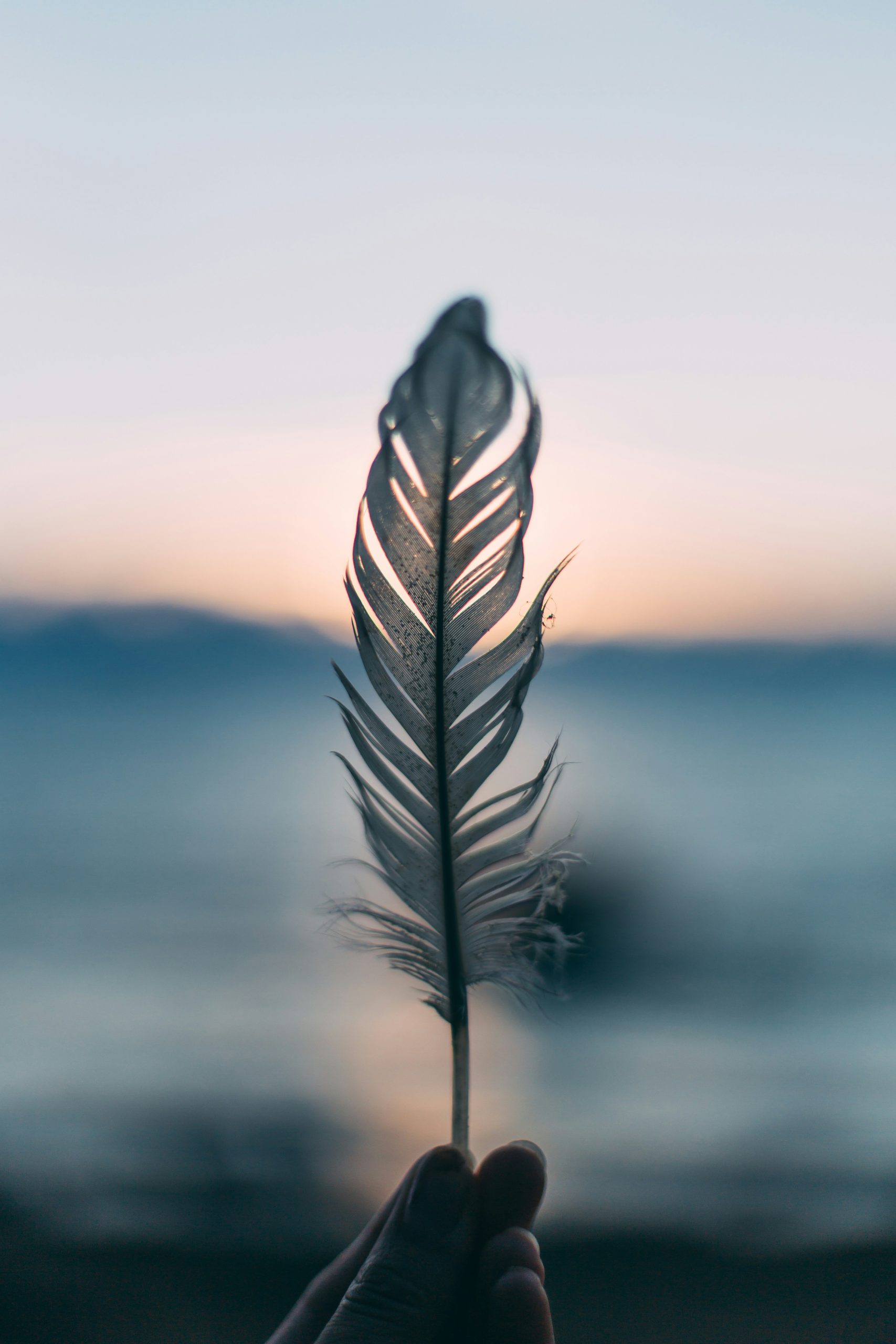Pluma al viento sobre un paisaje desenfocado